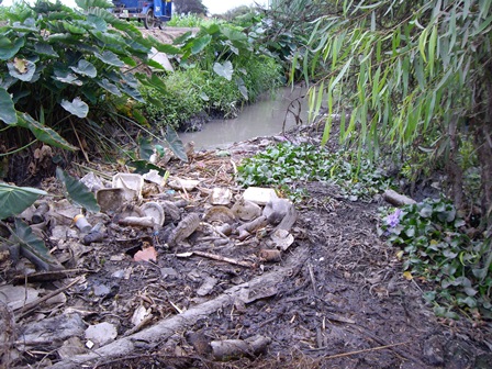 canal lavandero santa